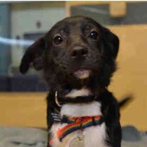 Meet your Posher, Alma